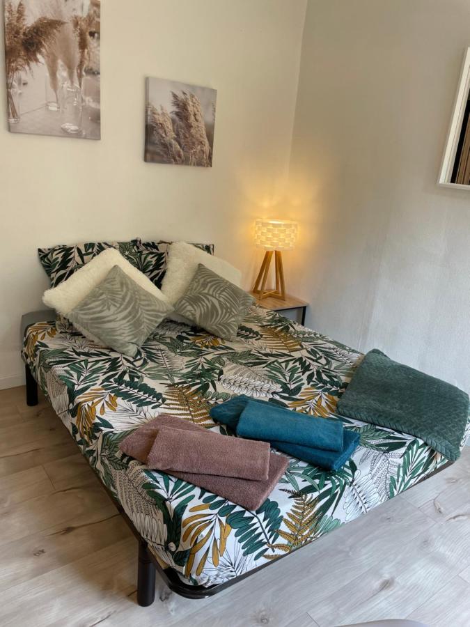 Appartamento T2 Plein Centre Au 1Er Etage Avec Parking Prive Millau Esterno foto